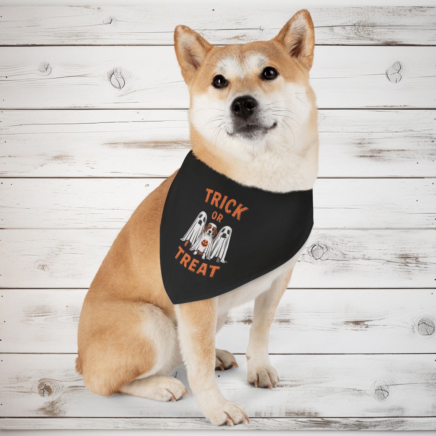 Spooky Paws Bandana Dog Collar - EternalAscension
