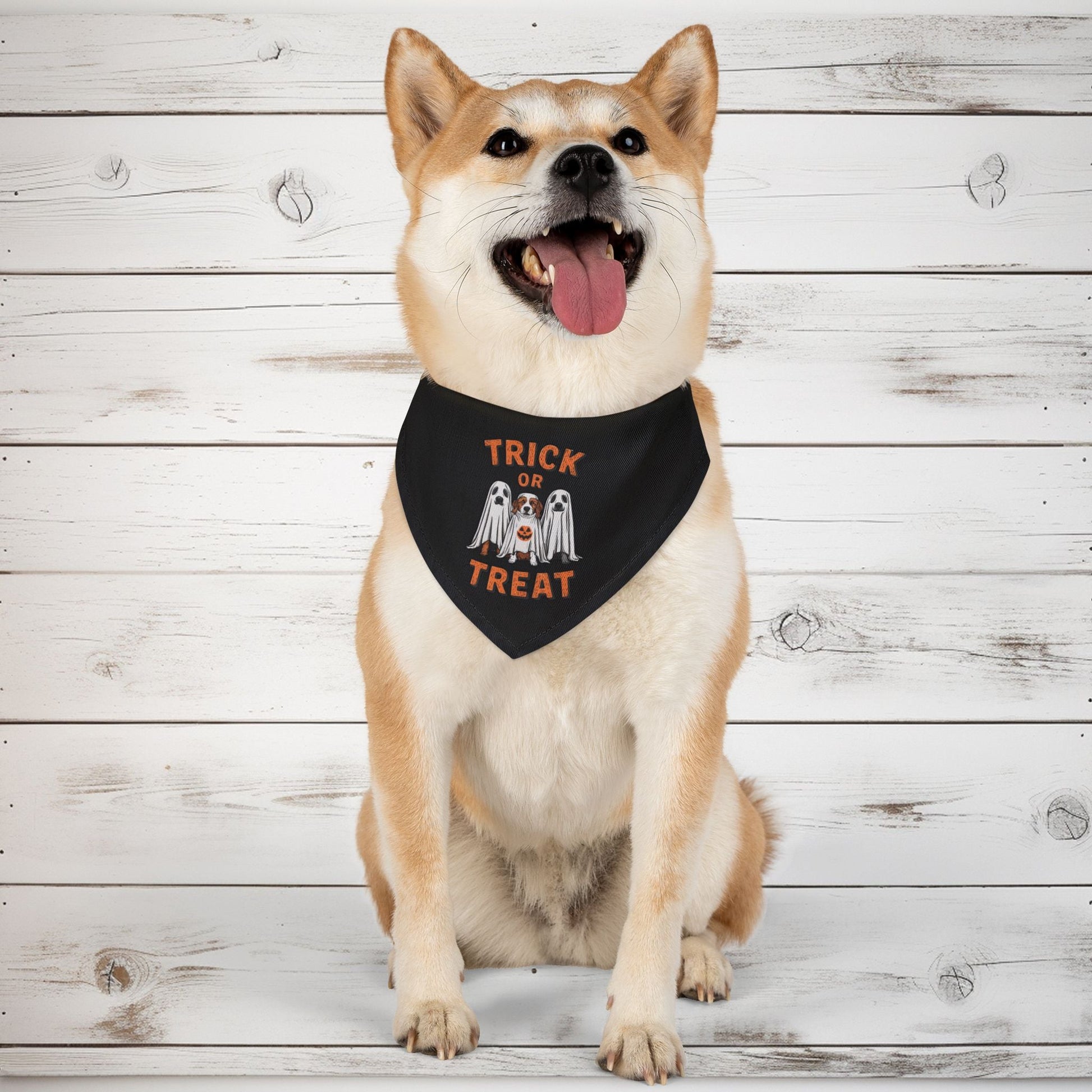 Spooky Paws Bandana Dog Collar - EternalAscension