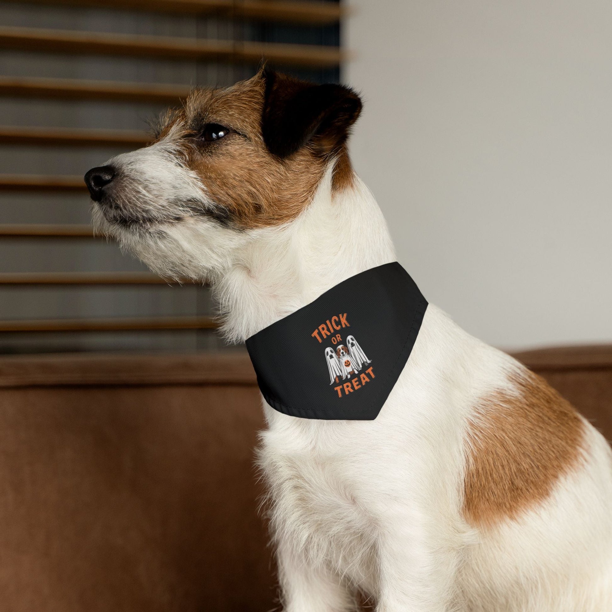Spooky Paws Bandana Dog Collar - EternalAscension
