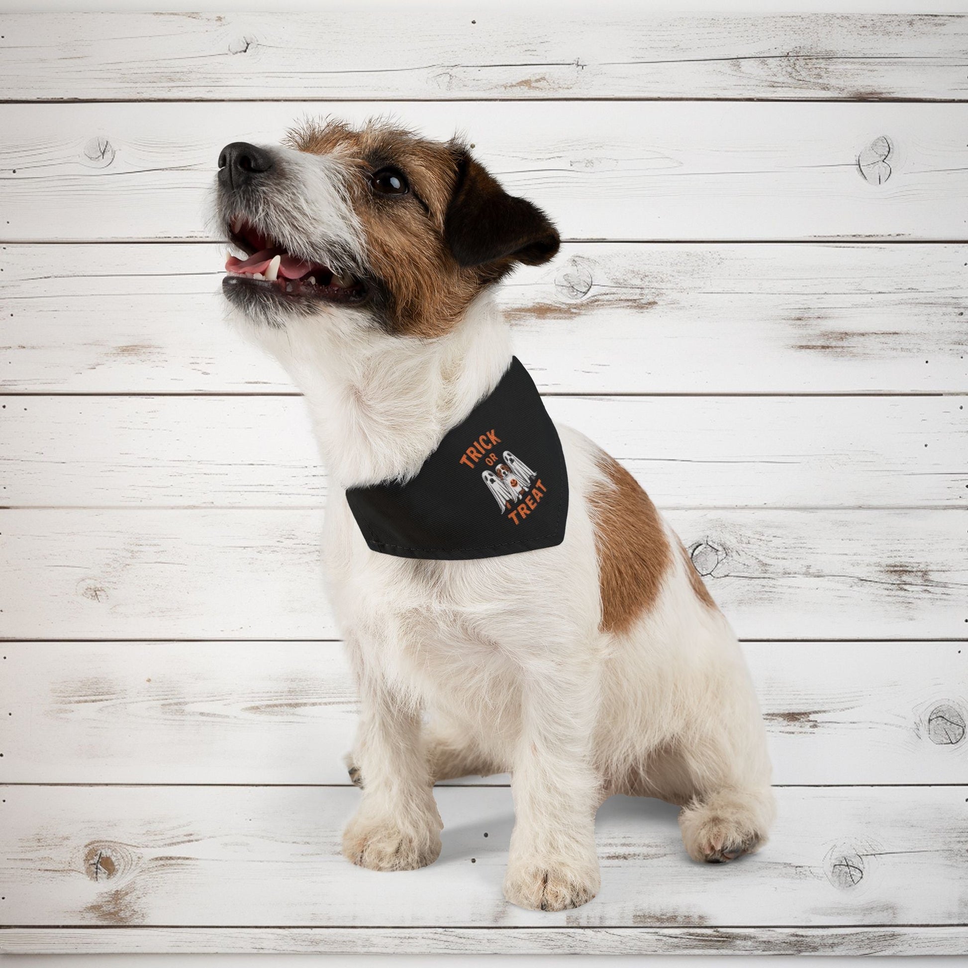 Spooky Paws Bandana Dog Collar - EternalAscension