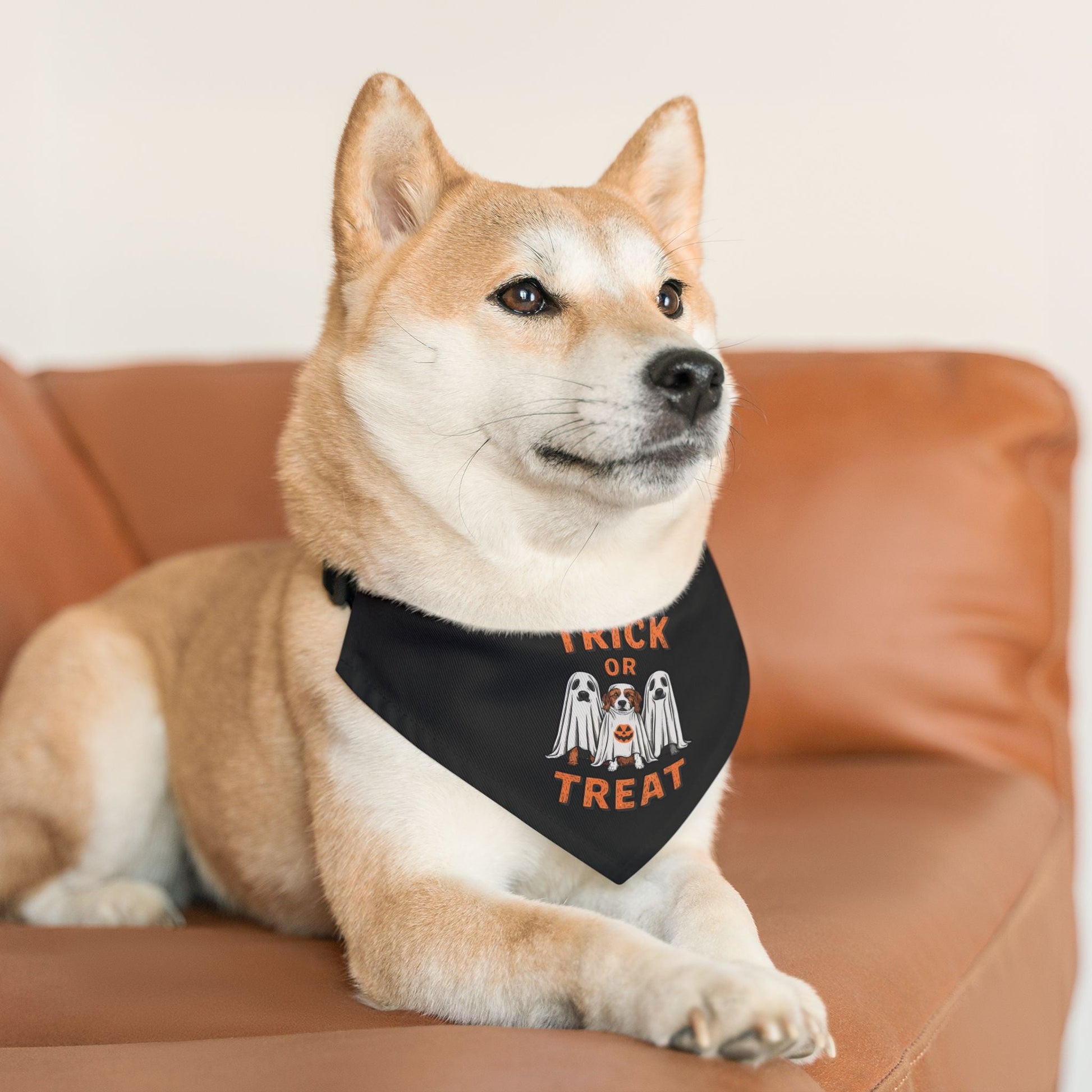 Spooky Paws Bandana Dog Collar - EternalAscension
